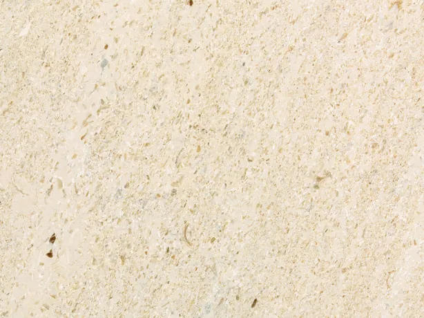 Fior di Crema marble detail: matte fine grain with faint horizontal streaks over the cream