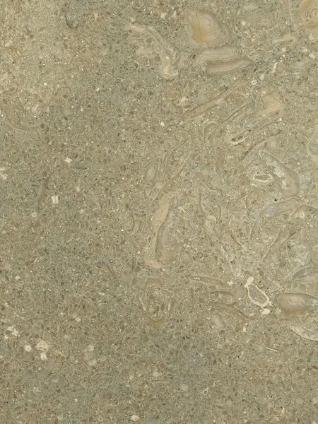 Mármore Fossil Green