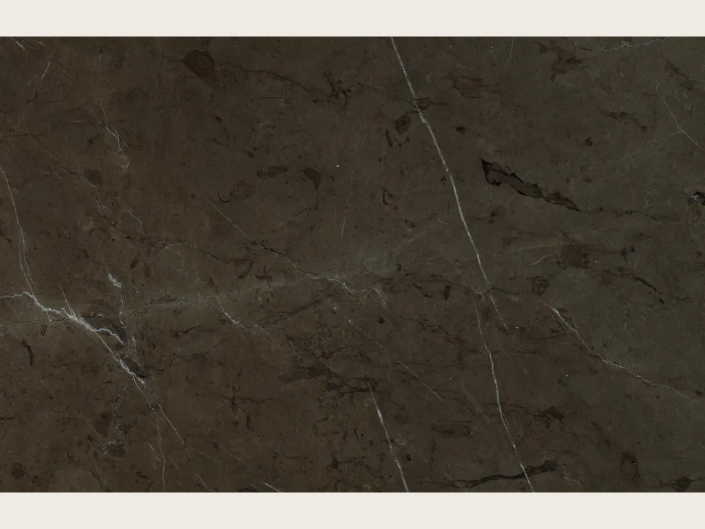 Slab of brown Grafite marble: dark background between brown and graphite with fine white diagonal veins