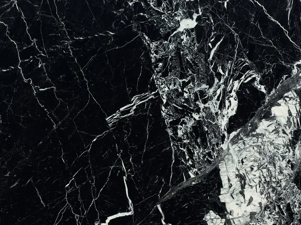 Detail of the white brecciated area of black Grand Antique marble