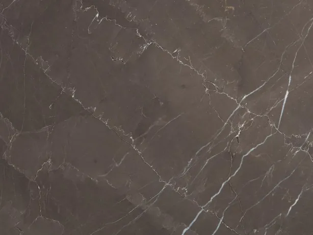 Close-up of the fine net of white veins over the taupe background of Grigio Amani marble