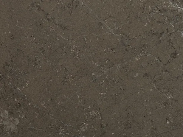 Grigio Antracite marble close-up: light flecks and a fine white vein on the polished taupe gray