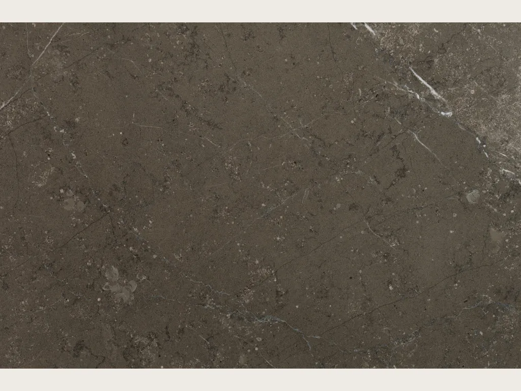 Grigio Antracite marble slab: taupe gray background speckled with light flecks and one fine white vein