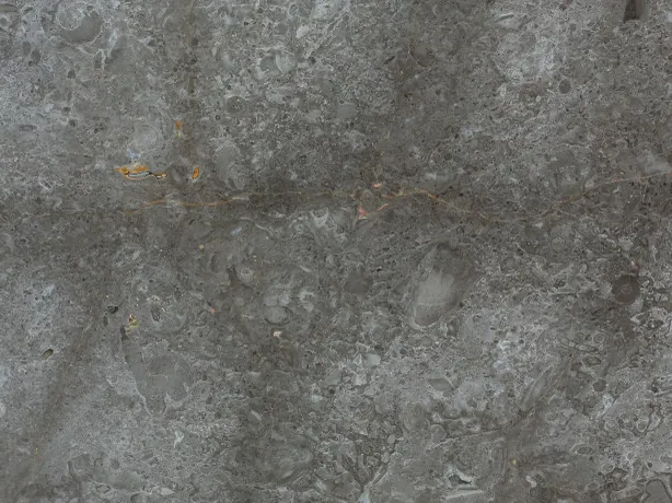 Grigio Billiemi marble close-up: cloud-shaped light patches on the polished gray