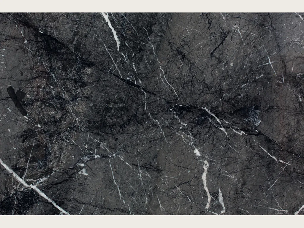 Black Grigio Carnico marble slab: gray-black background with branching white veins and a faint gray web