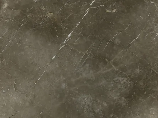 Grigio Collemandina detail: very fine white veins over the polished cloudy brown-gray