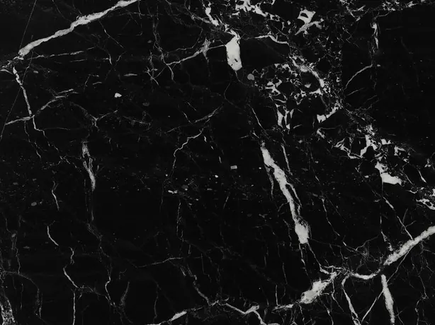Close-up of black Napoleon Black marble: fine and medium white veins over the polished black