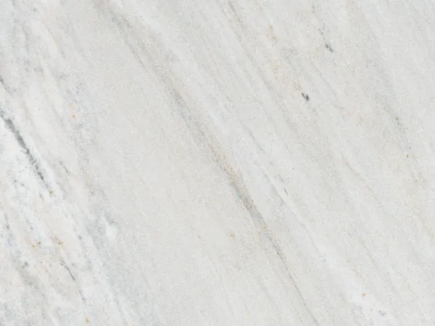 Close-up of the Palissandro marble slab: fine gray strokes on the polished light background