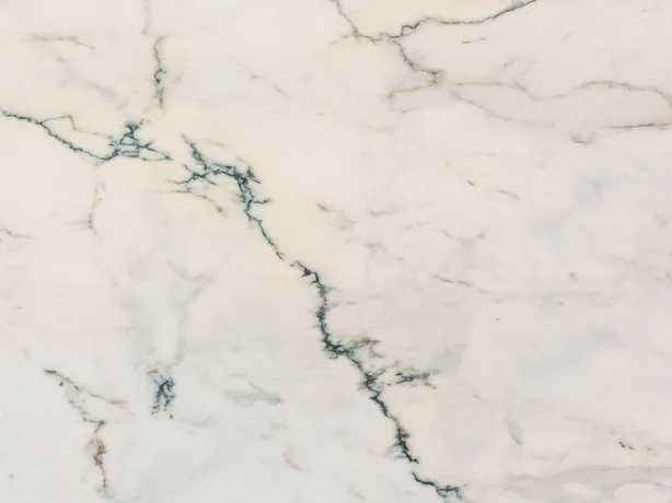 Close-up of the teal branching veins of Paonazzo marble