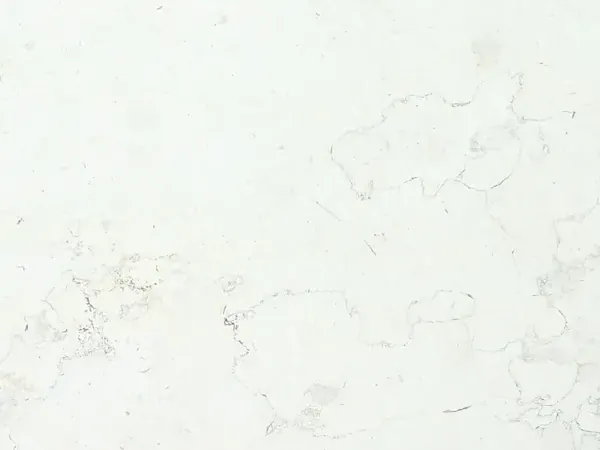 Pearl White marble slab: nearly plain white background with very faint gray lines