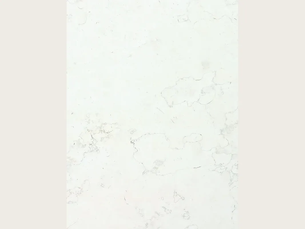 Pearl White marble slab: nearly plain white background with very faint gray lines