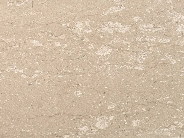 Detail of Perlatino: small cream spots lined up horizontally on the beige background