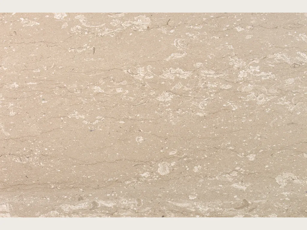 Beige Perlatino marble slab: beige with small cream spots of fossils lined up horizontally
