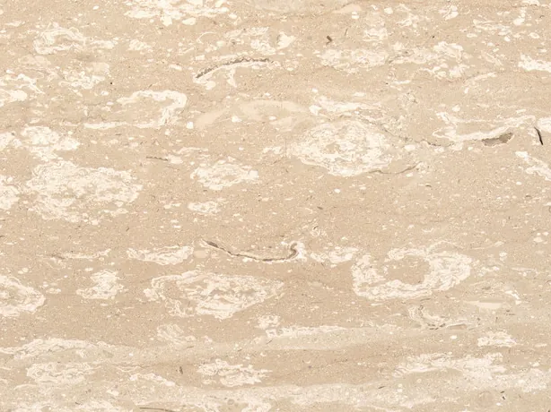 Detail of beige Perlato Royal marble: rounded cream fossils on the matte beige