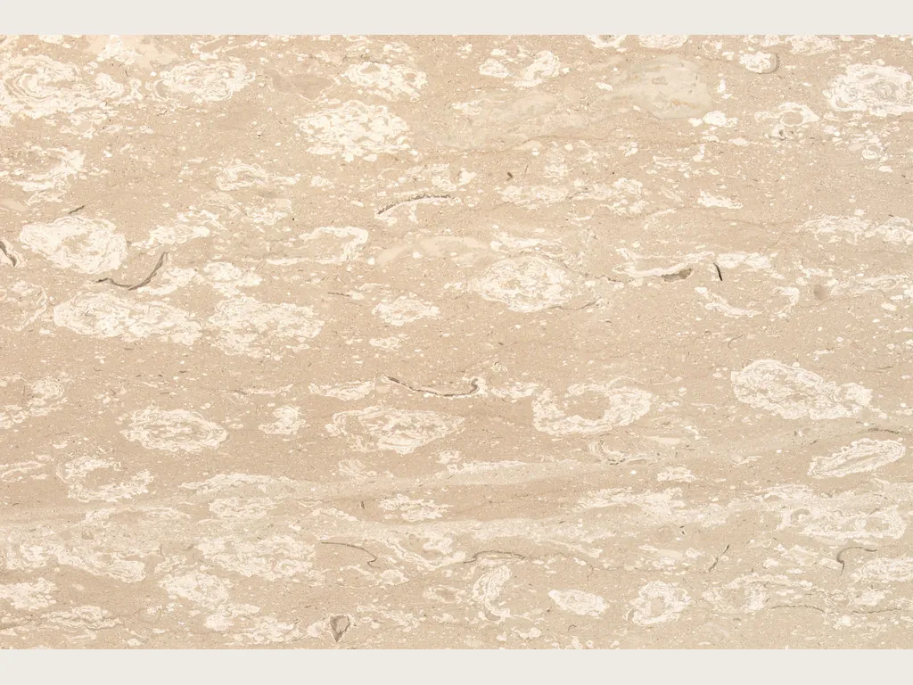 Beige Perlato Royal marble slab: beige background with rounded cream spots of fossils in horizontal bands