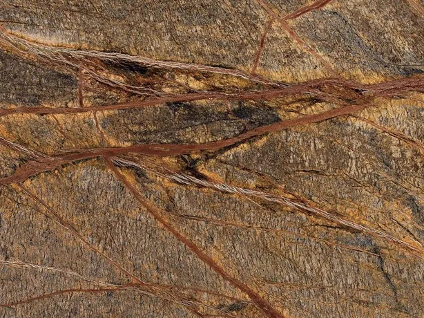 Close-up of the net of rust-red veins of Picasso Brown over the olive brown background