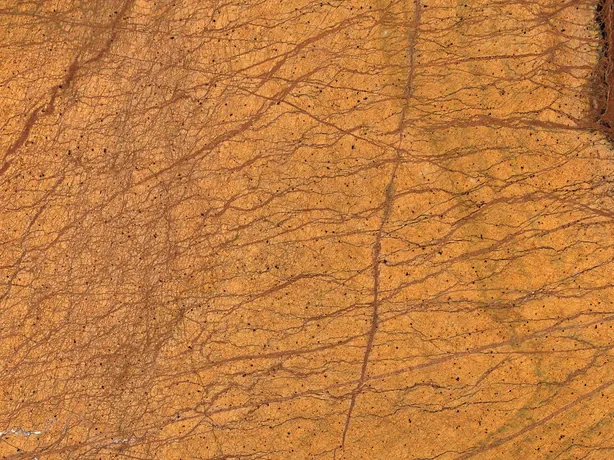 Detail of Picasso Gold marble: fine and thick reddish brown strokes over the polished ocher orange