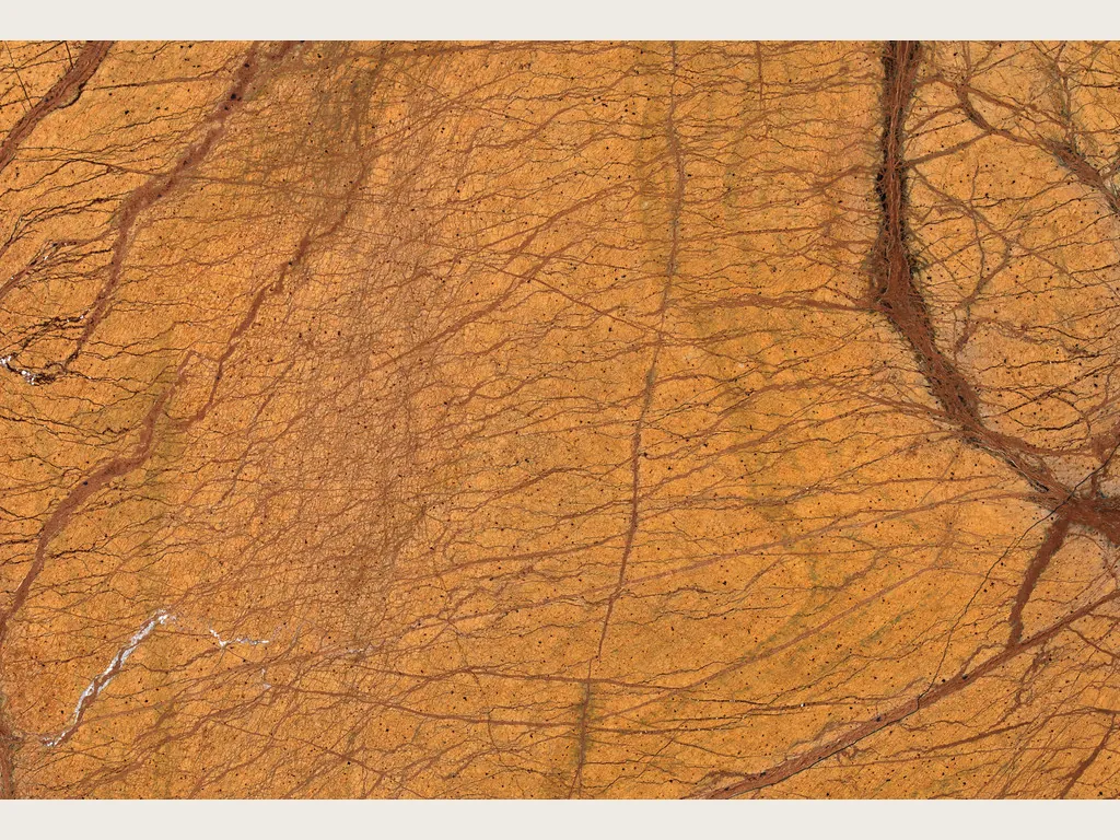 Picasso Gold marble slab: ocher orange with a net of branching reddish brown veins