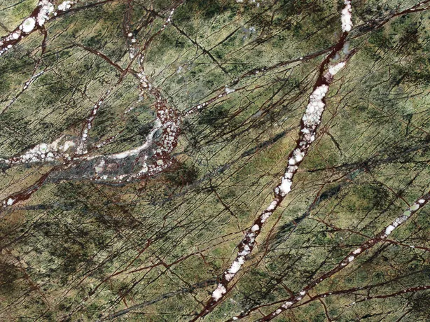 Detail of green Picasso Green marble: fine reddish brown veins and white brecciated strokes over the olive green