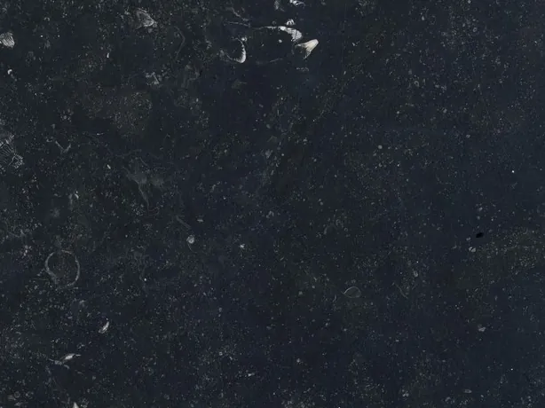 Detail of black Pierre Bleu marble: light flecks and fossils on the matte bluish black background