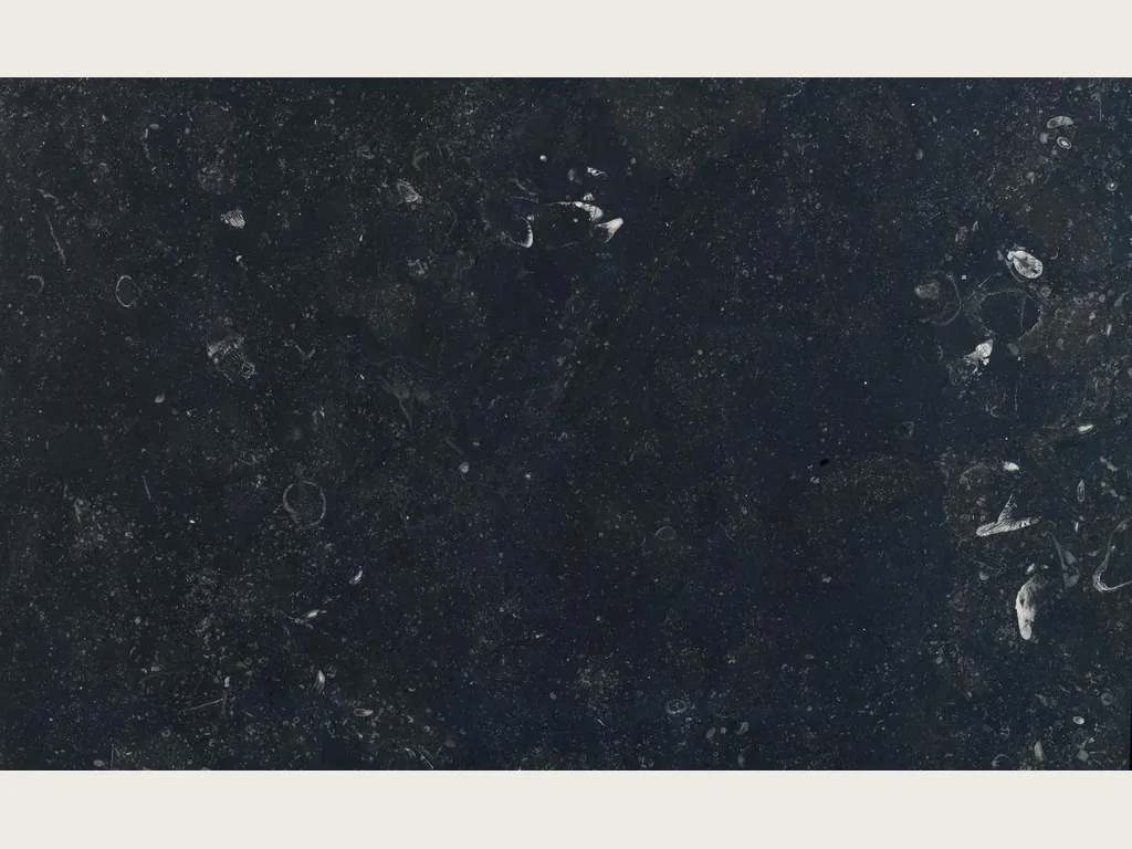 Slab of black Pierre Bleu marble: bluish black background with scattered light flecks and fossils