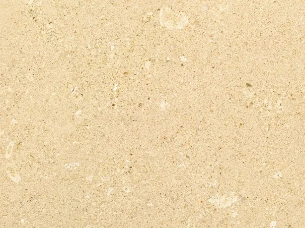 Close-up of Pietra di Vicenza Bianca marble: pores and small light fragments over the sandy beige grain