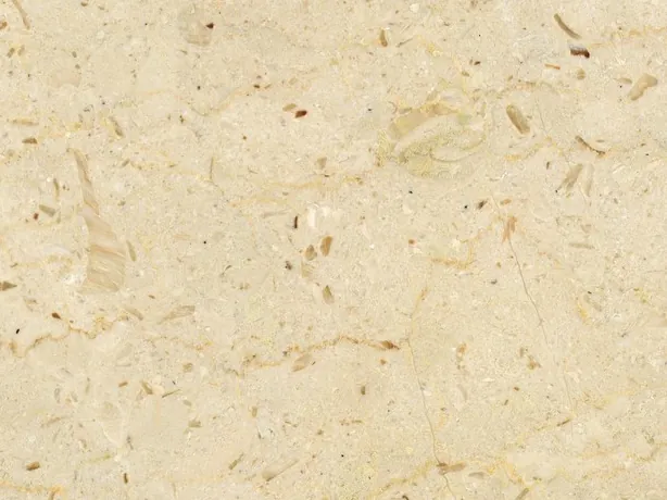 Close-up of Pietra Ducale marble: small fossil fragments and brown dots over the cream