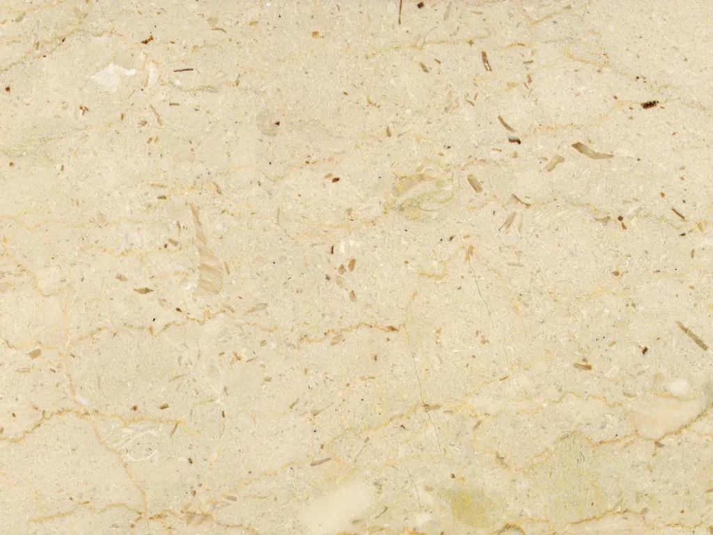 Slab of beige Pietra Ducale marble: a yellowish cream background with fossil fragments and brown dots