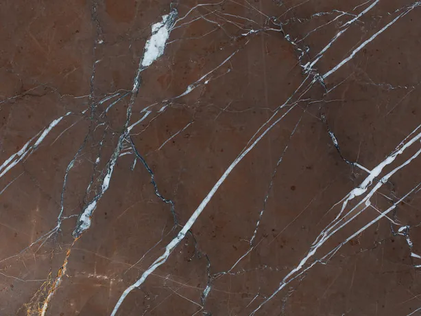 Detail of Rosso Collemandina: white and blue-gray veining over the dark background