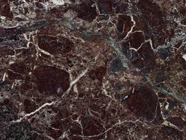 Detail of Rosso Levanto: the network of fine white veins between burgundy fragments and gray-green areas
