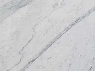 Statuarietto detail: bluish gray veins running diagonally and fine branching veins over the white