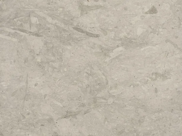 Close-up of gray Tala Grey marble: diffuse gray patches and strokes on the matte surface