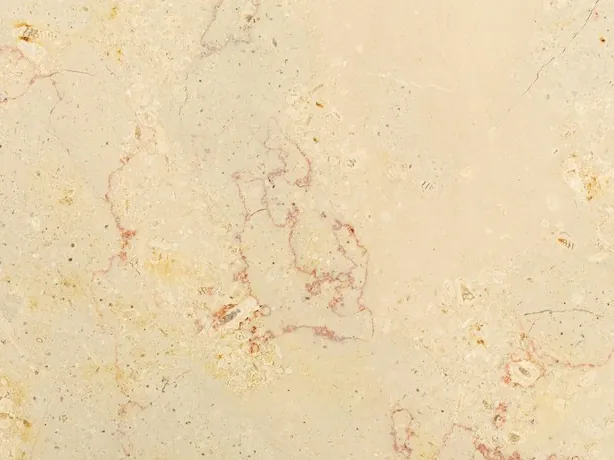 Detail of Trani Filetto Rosso marble: fine pinkish red filaments and isolated dark spots over the cream
