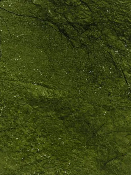 Mármore Verde Giada