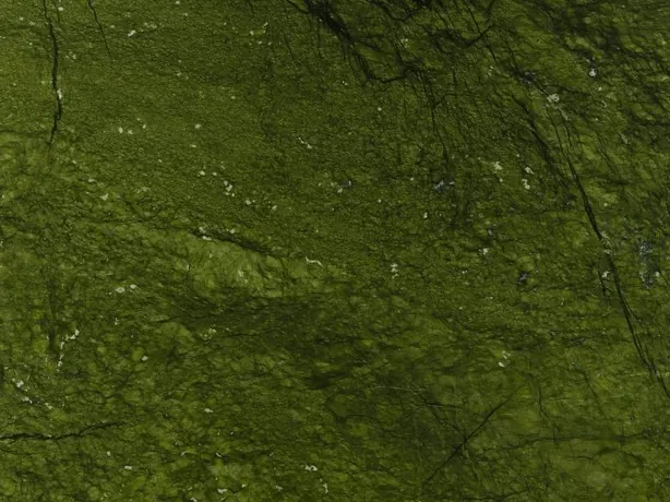 Verde Giada marble close-up: olive green clouds and fine dark cracks with a polished shine