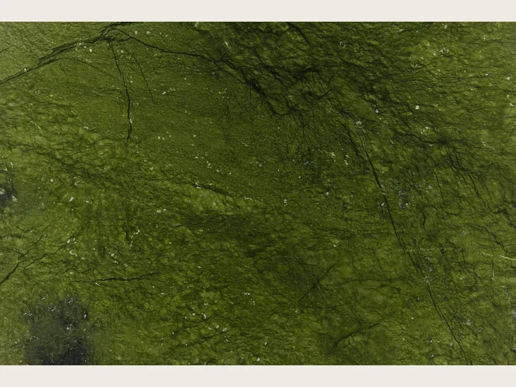 Verde Giada marble slab: intense olive green with tonal clouds and fine dark green veins