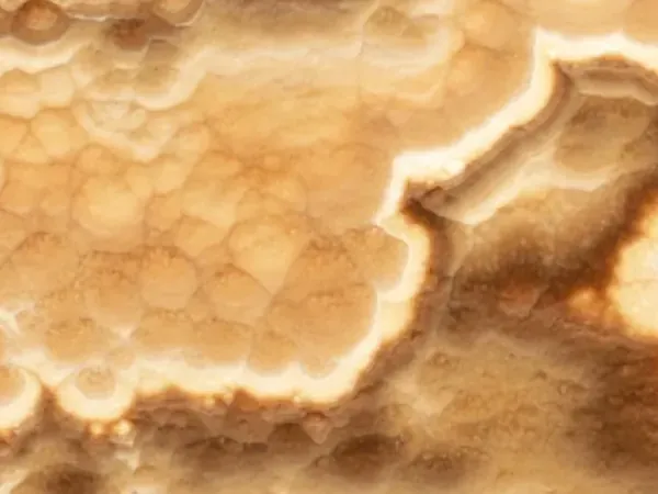 Dark honey onyx slab: amber background with wavy dark brown and cream bands over rounded cells