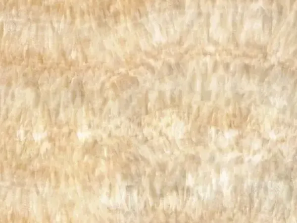 Slab of Honey Onyx: soft horizontal bands in cream and light honey, with a vertical fibrous texture