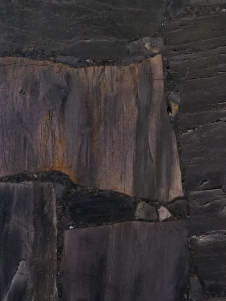 Madeira Petrificada Preta, Corte Transversal