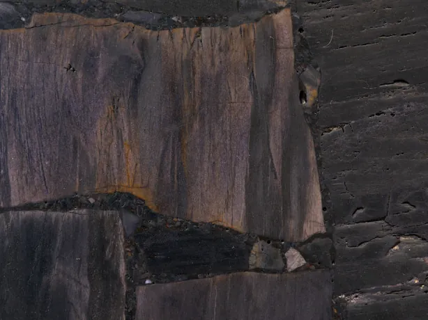 Detail of Black Petrified Wood, Cross-Cut: vertical and horizontal grain in matte pieces