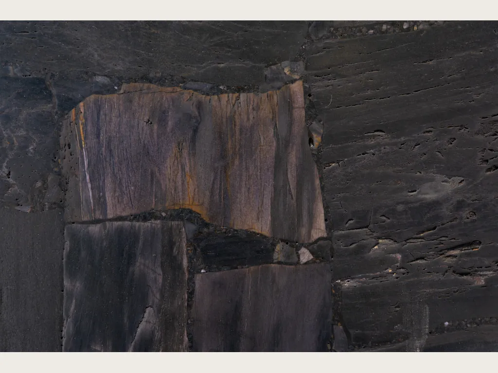 Black Petrified Wood, Cross-Cut slab: a mosaic of dark pieces with visible grain and a grayish brown piece at the center