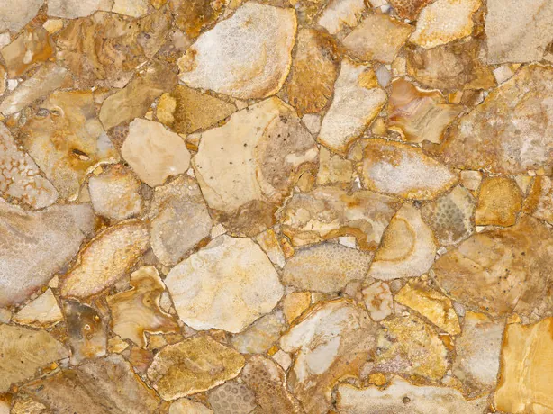 Detail of fossil coral: a dense mosaic of beige and cream fragments with a polished sheen