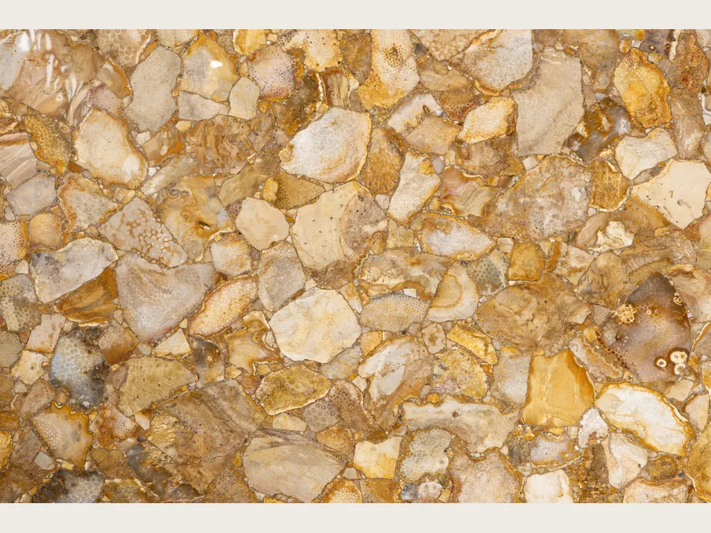 Fossil coral slab: angular beige and cream fragments over an ochre gold base, high-gloss polish