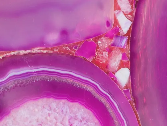 Fuchsia agate slice detail: concentric bands and white centers with a bright polish