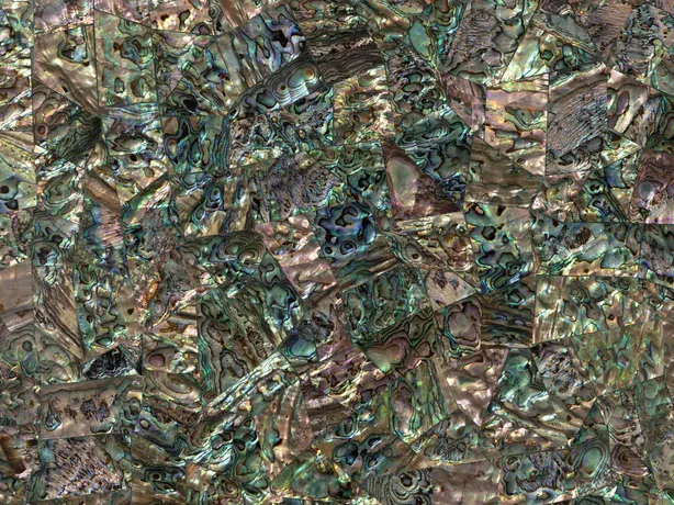 Abalone mother of pearl detail: shell pieces with an iridescent sheen over a gray-green background