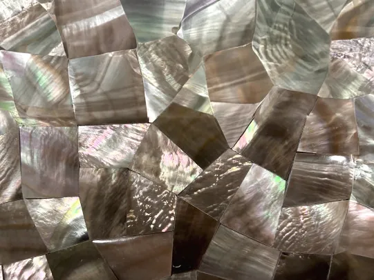 Detail of Brown Shell Mother of Pearl: the iridescent sheen of the mosaic pieces