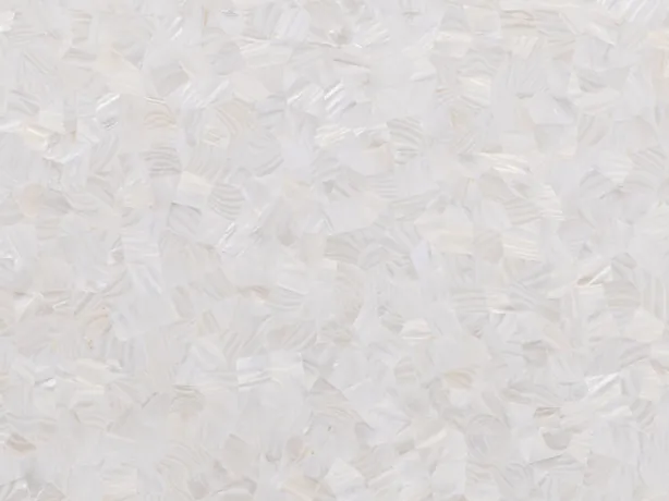 Detail of freshwater shell mother of pearl: very small pieces with a bright polish