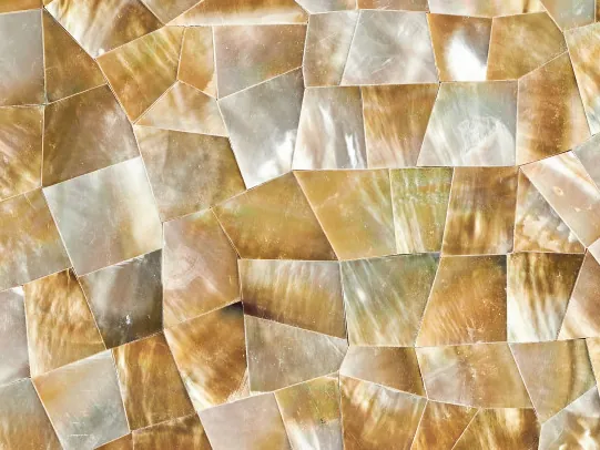 Detail of golden shell mother of pearl: how the iridescence shines in every angular piece