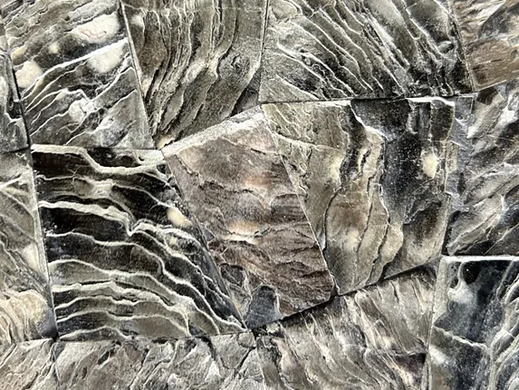 Detail of Galushell Gray Mother of Pearl: wavy striations in relief over gray shell pieces