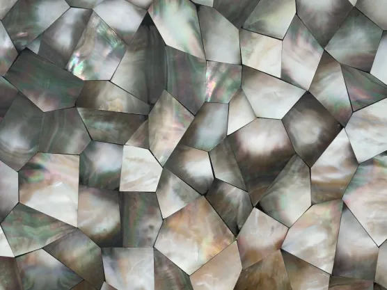 Detail of Gray Shell Mother of Pearl: iridescent highlights on each polygon and fine joints between pieces